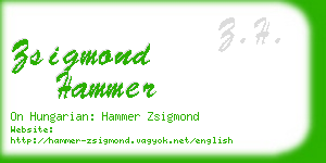 zsigmond hammer business card